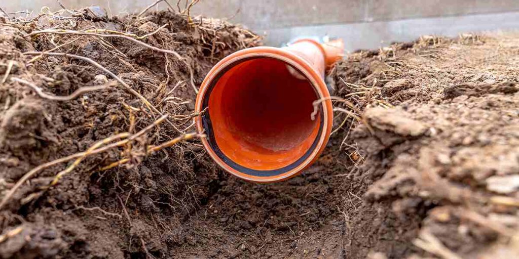 roots in main sewer line