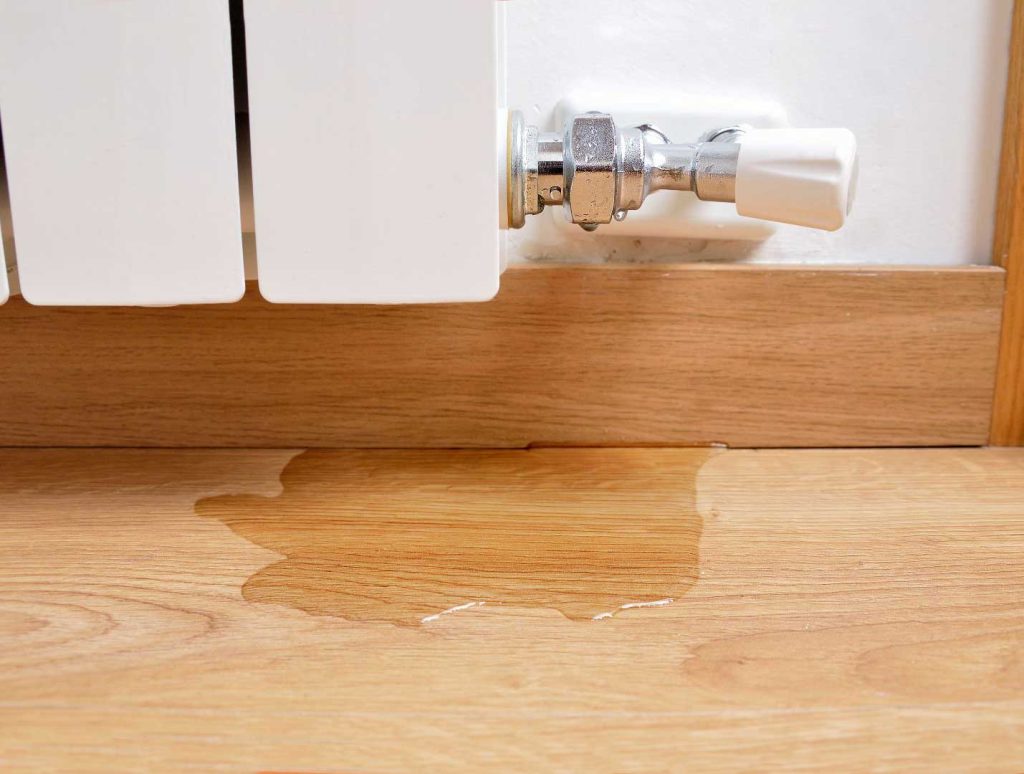 Identify Water Leaks in Your Home in Natick