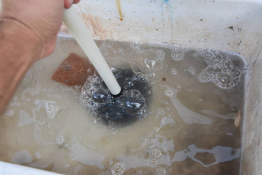 A hand uses a white-handled plunger to clear a blockage in a basin filled with murky, bubbling water.